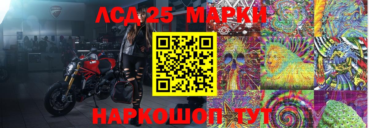 APVP Новосибирск